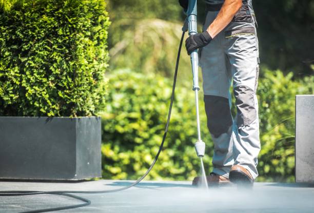 Spring Cleaning in Castroville, CA